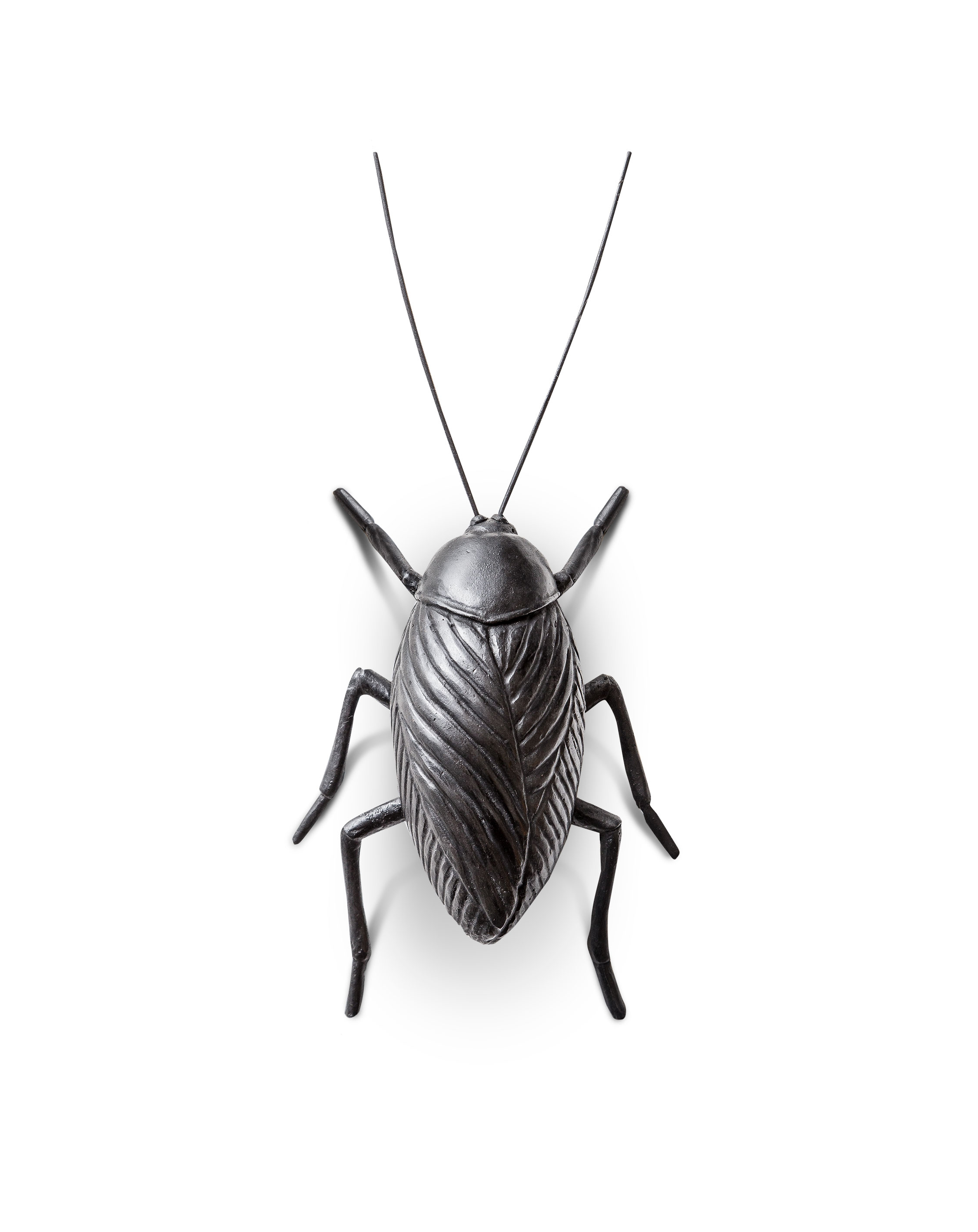 Ceramic Cockroach Studio Job - Cockroach